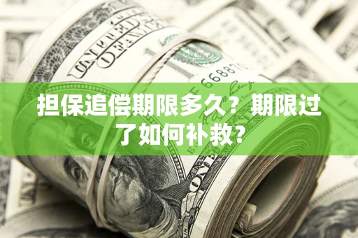 济南担保追偿期限多久？期限过了如何补救？